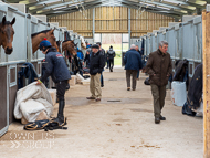 BP240223-79 - Owners looking around the stables